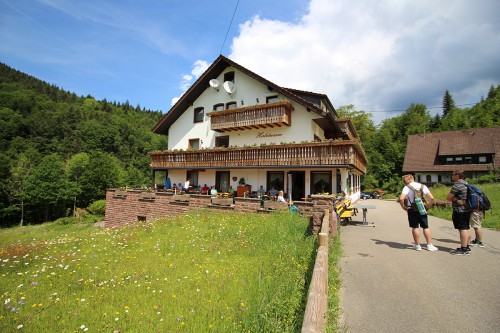 Sommernachtstraum auf dem Herbstwasen