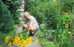 Terrasse und Gartenpflege, Grtnerei und Baumschule.