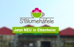 Blumen Kiesel sBlumehfele